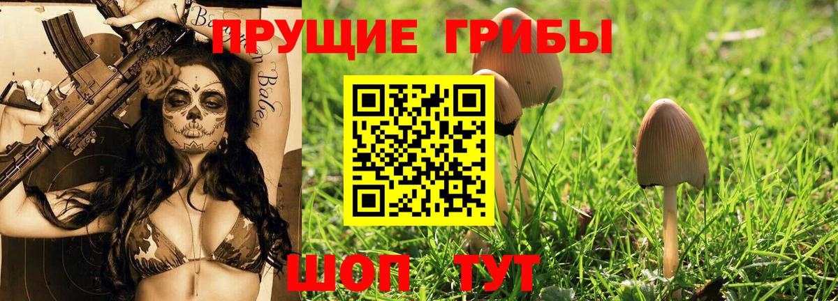 Первоуральск  Галлюциногенные грибы Psilocybine cubensis  Вход с VPN  Галлюциногенные грибы ЛСД 