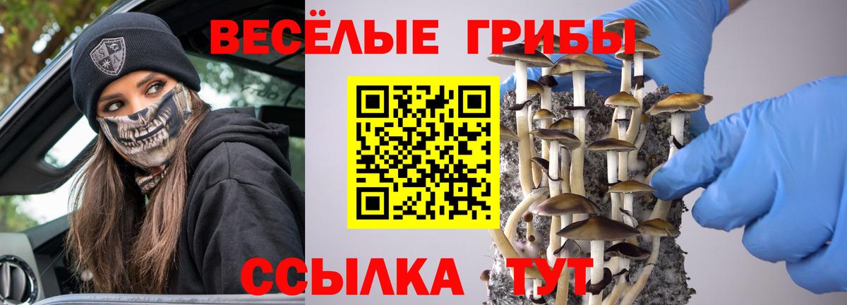 Псилоцибиновые грибы ЛСД Первоуральск